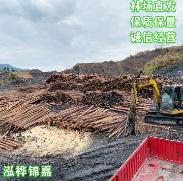  1-8米大型專(zhuān)業(yè)定制工地加固原木樁木